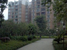 此房满五年 三房,住家装修 户型好 阳台大