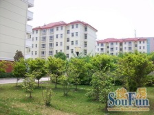 漕河泾次新电梯房,房龄新车位充足,精装边套全明户型