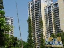 冉家坝 佳居花园A区四房150万