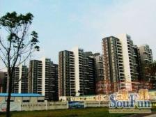 保利花园三期 东南向户型 视野开阔