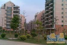 户型通透,楼层好,楼栋位置不沿街,采光好