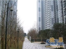 汽博中心 奥林匹克花园四期一房75万