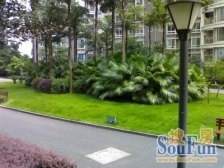 北滨路 华宇北国风光三房99万