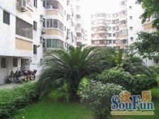 海景花园 中层望花园 安静 诚心出售 带储物间