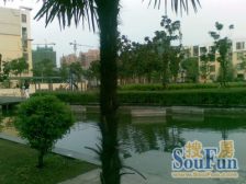 保利叶上海(别墅) 5室3厅 南 北