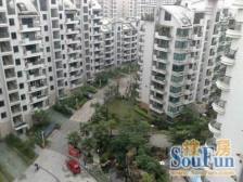 南国金辉 3室2厅 南