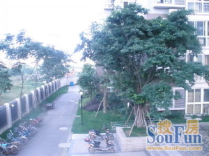 禾嘉利好 2室1厅 东南