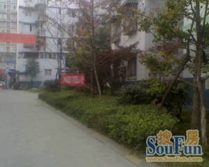 东福苑A区3室2厅东南