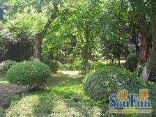 南坪 花园七村二房38万