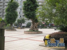 西区 金色池塘二房85万