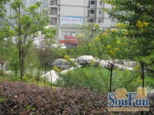 西区 金色池塘五房133.8万