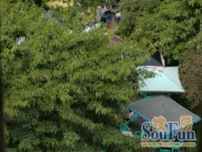 两路老城 龙旺街三房38.8万