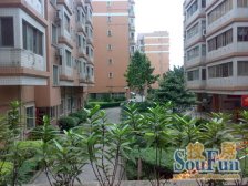 豪兴苑小区,步梯3楼、东向望小区、单价低总价低两房