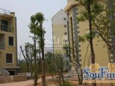 房子满5年,装修清爽,拎包入住,随时可以看房