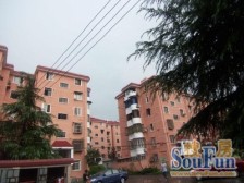 近地铁 刚需上车 无抵押 电梯房 新上房源