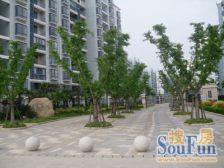 近地铁,满五年,通风采光很好,户型正气,电梯三房