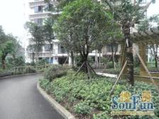 龙头寺 上品拾陆二房85万