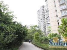 燃气小区 3室1厅 南