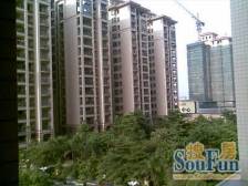 怡翠玫瑰园 小区中间户型 精装四房