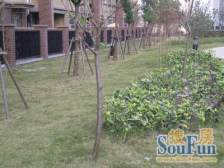 大华锦绣华城(四街区) 2室2厅 南