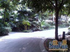 看江小户型 户型方正 配套齐全 楼下公交站 滨江路旁