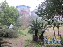 抚生路万福寺 南北通透,采光好 视野好,诚心出售