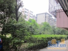 老城区 三面采光 全天太阳 精装电梯大四房 冬暖夏凉