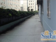 大坪 拓展大厦(渝中)三房