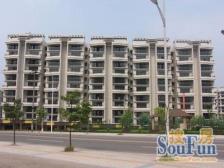 南桥寺 金洁南桥晓月三房88万