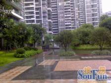 急售 安静 三期 带大平台 无抵押 全新装修 看房方便