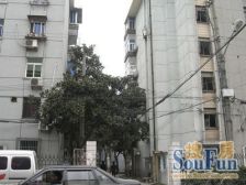 川沙·新德路365弄·1室·1厅