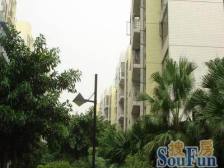 鱼洞 浩立半岛康城三房59万