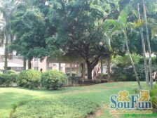 龙珠花园 加装电梯中层 户型方正实用