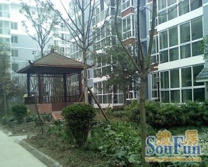 阳光印象2室2厅东南