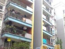 鱼洞 宏源花园三房65万