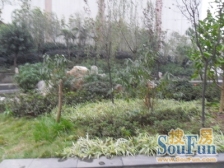 兰花丽景 4室2厅 东南