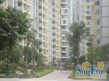 空港广场精装两房 中间楼层 家电齐全 交通便利