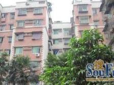 鱼洞 玉豪龙庭二房53.5万