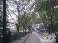 2号线谢家湾轻轨站旁新出两房出售 带谢小