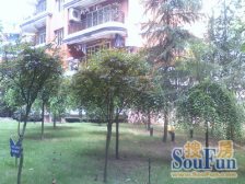 鱼洞 乐意苑一房30.5万