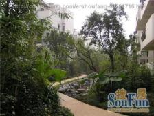 汽博中心 奥林匹克花园一期(雅典阳光)三房245万