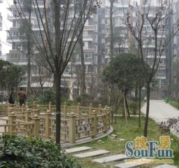 峰景尚品居 3室1厅 南