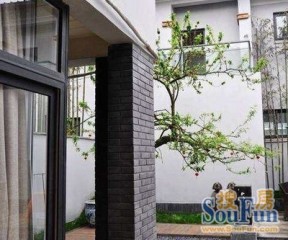 幸福公社二期1室1厅东南