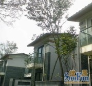 幸福公社二期 4室3厅 东南