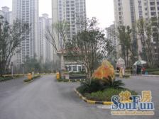 碧桂园洋房跃层+六室三卫+清水房诚心出售