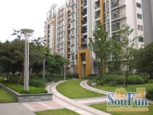 全BS,鲁能正规三房,前后中庭,居家安静,出行方便