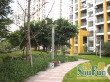 龙头寺 鲁能星城三街区四房270万