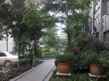 广佛线南桂路 小户型住宅 生活便捷