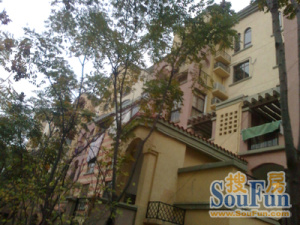 洪港小区南北通透,采光好近地铁视野好,诚心出售