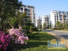 岱山东路印钞厂宿舍 南北通透,采光好 装修好,环镜优美 近地铁 视野好,诚心出售